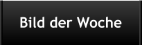 Bild der Woche