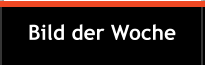Bild der Woche