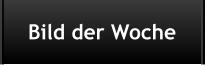 Bild der Woche