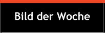 Bild der Woche