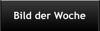 Bild der Woche