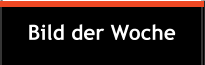 Bild der Woche