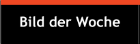 Bild der Woche