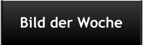 Bild der Woche