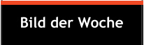 Bild der Woche