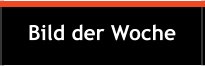 Bild der Woche