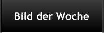 Bild der Woche