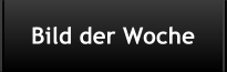 Bild der Woche