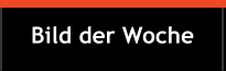 Bild der Woche