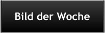 Bild der Woche