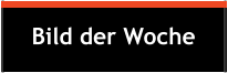 Bild der Woche