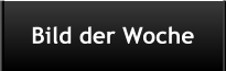 Bild der Woche