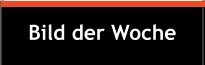 Bild der Woche