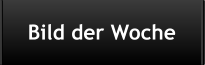 Bild der Woche