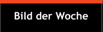 Bild der Woche