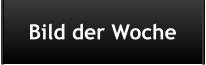 Bild der Woche