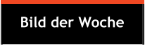 Bild der Woche