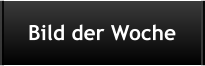 Bild der Woche