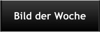 Bild der Woche