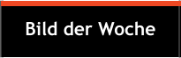 Bild der Woche