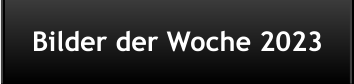 Bilder der Woche 2023