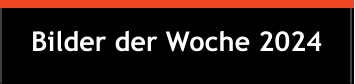 Bilder der Woche 2024