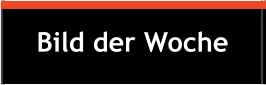 Bild der Woche