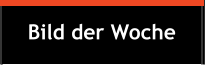 Bild der Woche