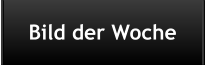Bild der Woche