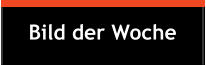 Bild der Woche