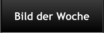 Bild der Woche
