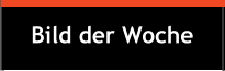 Bild der Woche